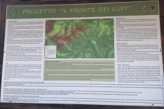 006-Storia-dei-Lupi